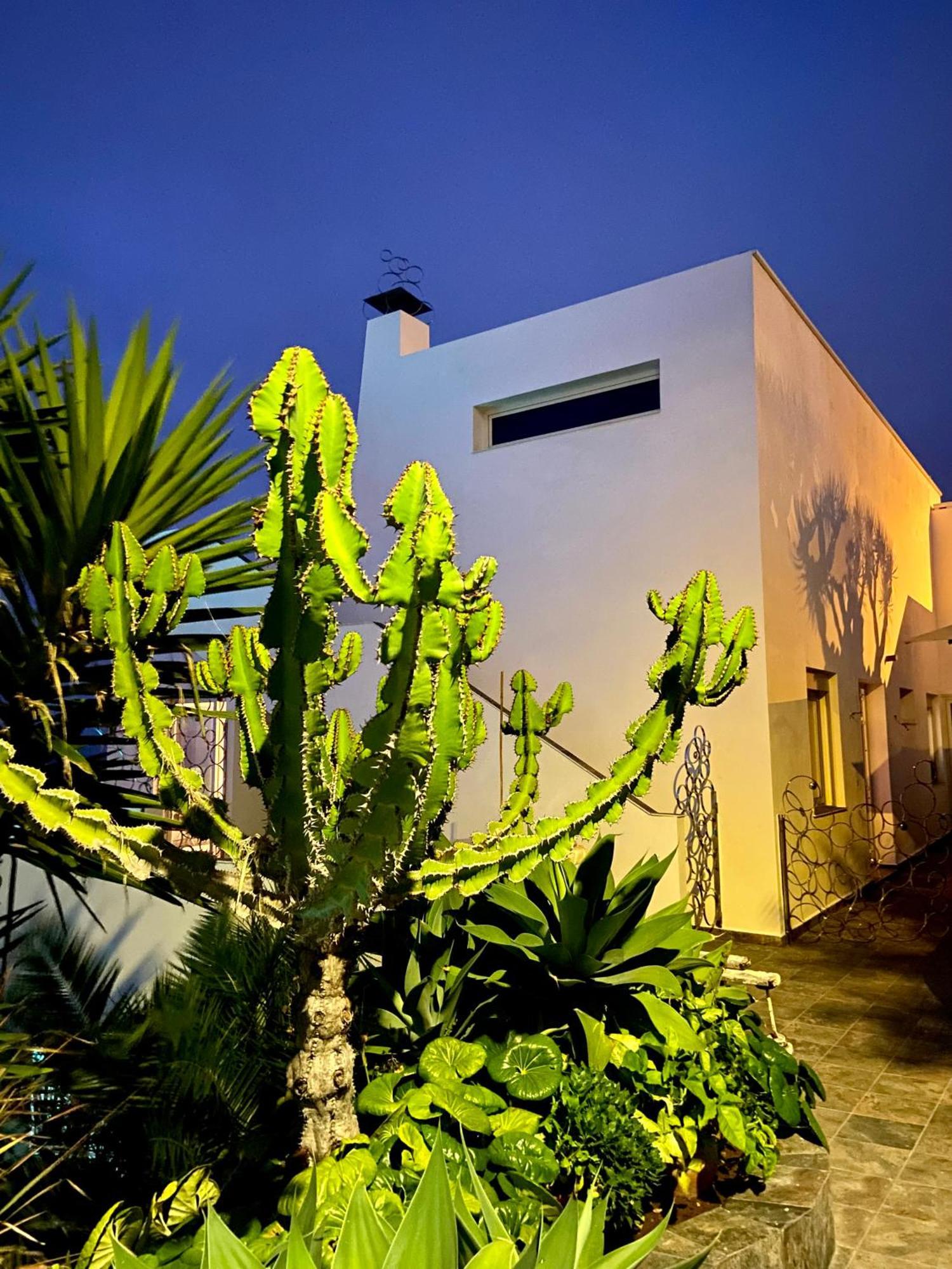 Villa Oasis La Paz - Pelinor Studio - Adults Only 拉克鲁斯 外观 照片