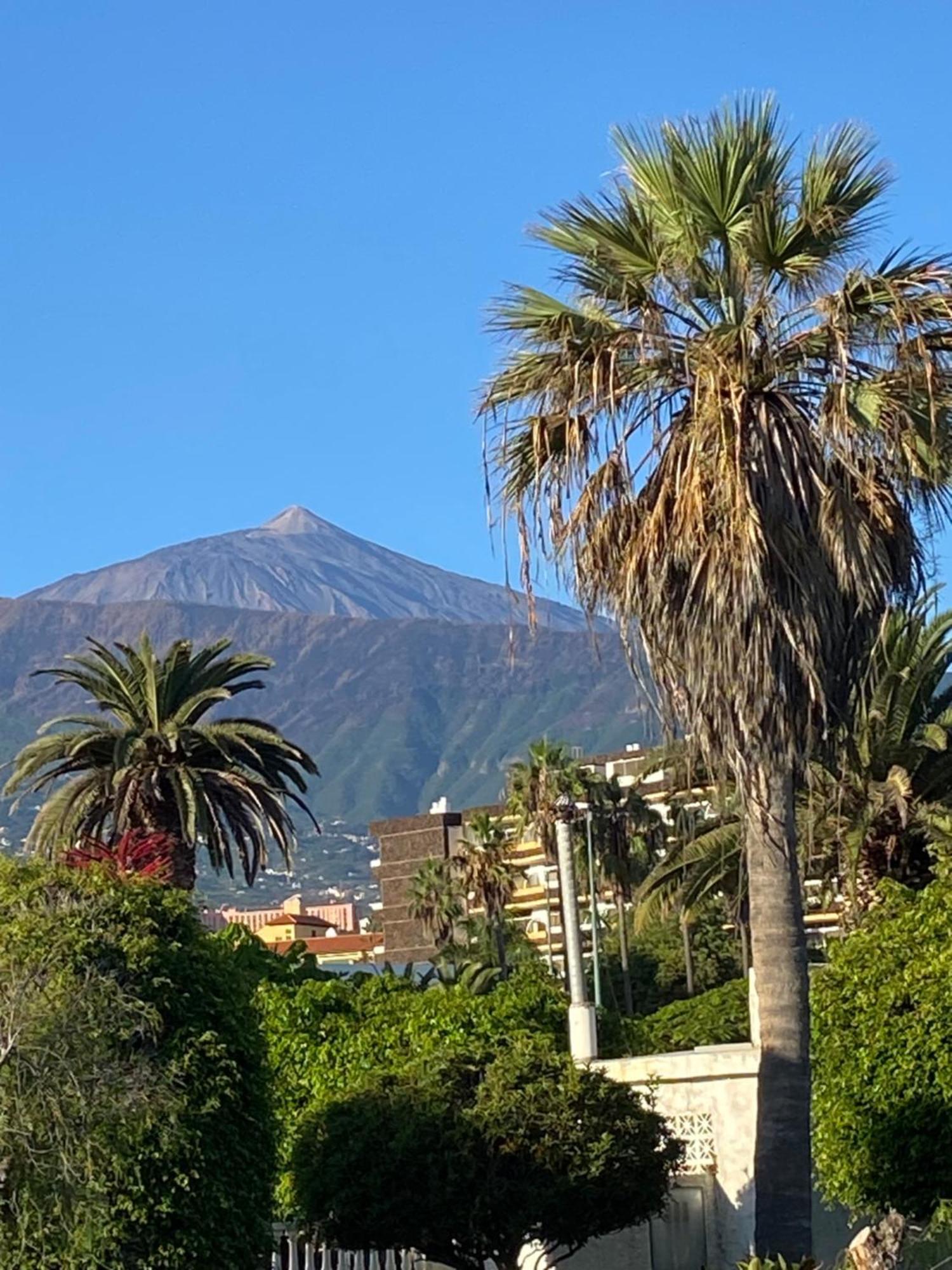 Villa Oasis La Paz - Pelinor Studio - Adults Only 拉克鲁斯 外观 照片